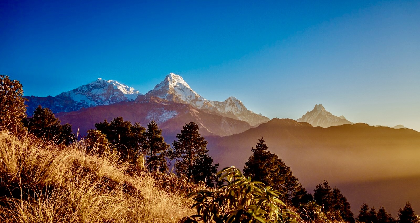 Trekking in Nepal